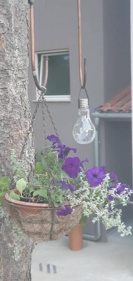 Apartman Tika Pola Esterno foto